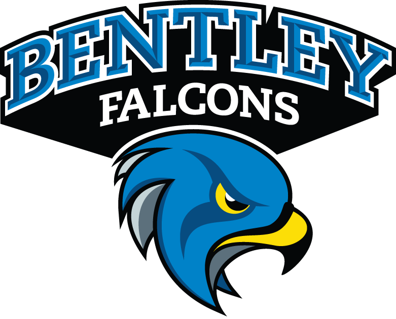 Bentley Falcons 2013-Pres Secondary Logo diy iron on heat transfer